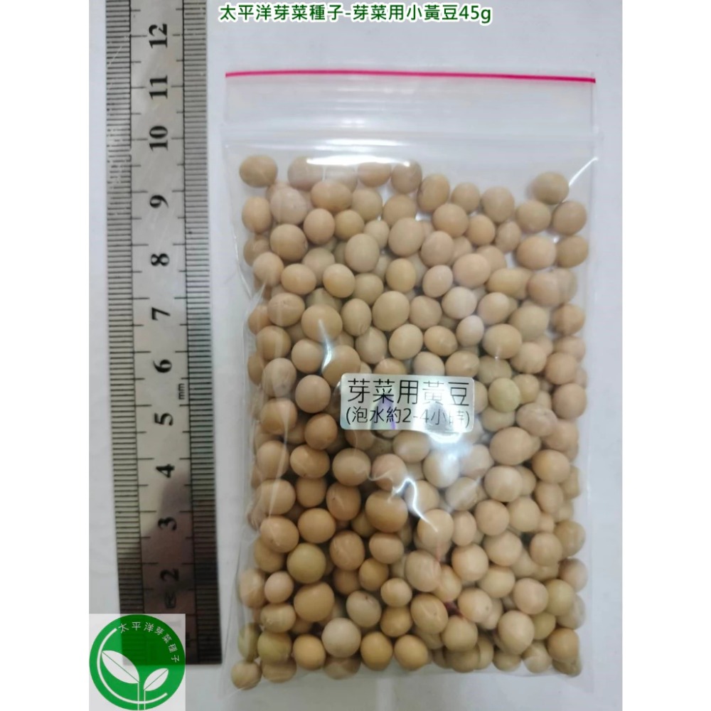 小黃豆種子(芽菜用/納豆用/煮食用/通用型)-美國-可水耕/土耕/煮食-85%以上高發芽率-芽菜種子/豆芽菜種子-規格圖4