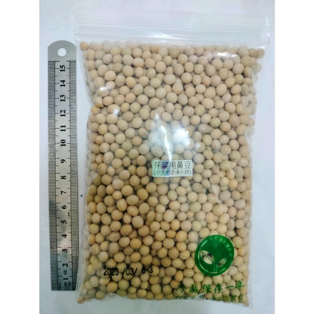 小黃豆種子(芽菜用/納豆用/煮食用/通用型)-美國-可水耕/土耕/煮食-85%以上高發芽率-芽菜種子/豆芽菜種子-規格圖4