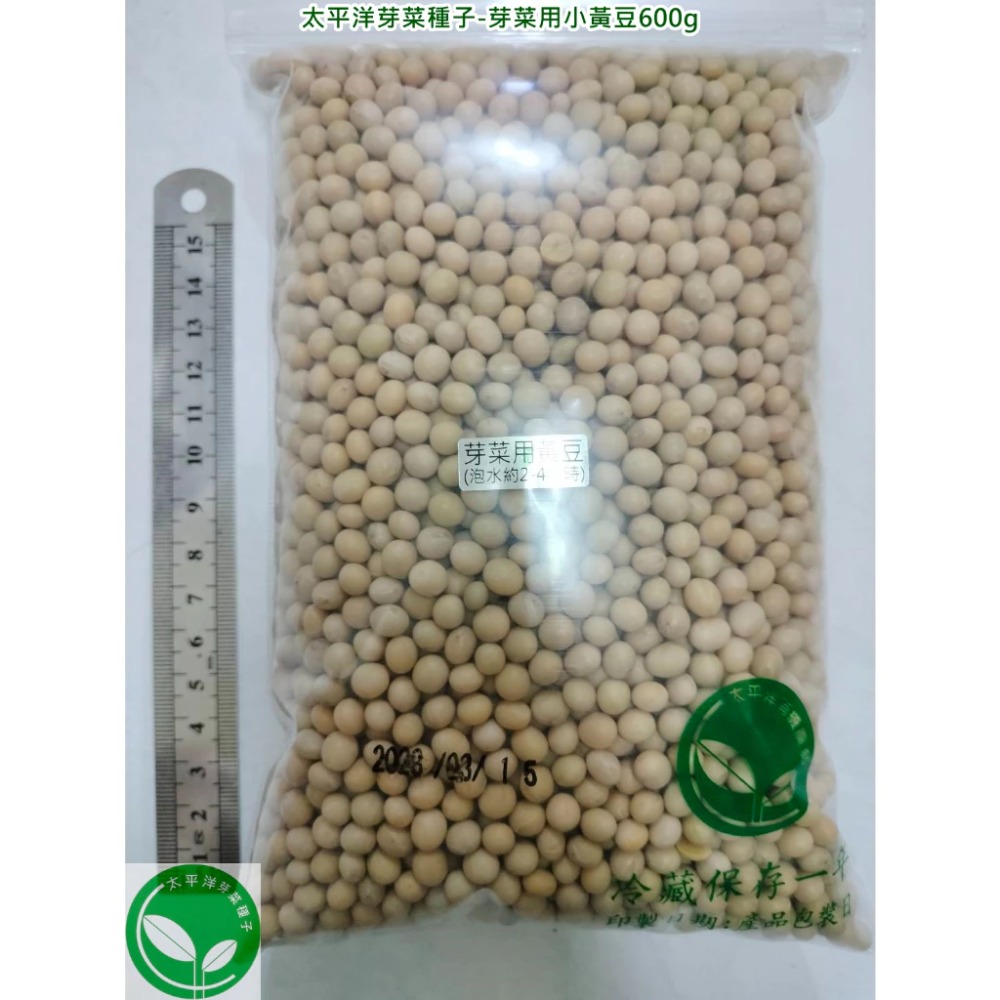 小黃豆種子(芽菜用/納豆用/煮食用/通用型)-美國-可水耕/土耕/煮食-85%以上高發芽率-芽菜種子/豆芽菜種子-規格圖4