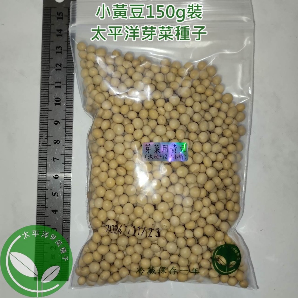 小黃豆種子(芽菜用/納豆用/煮食用/通用型)-美國-可水耕/土耕/煮食-85%以上高發芽率-芽菜種子/豆芽菜種子-規格圖4