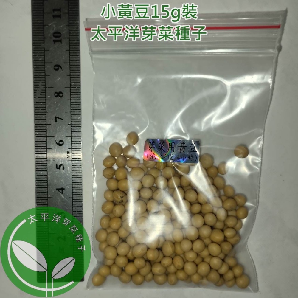 小黃豆種子(芽菜用/納豆用/煮食用/通用型)-美國-可水耕/土耕/煮食-85%以上高發芽率-芽菜種子/豆芽菜種子-規格圖4