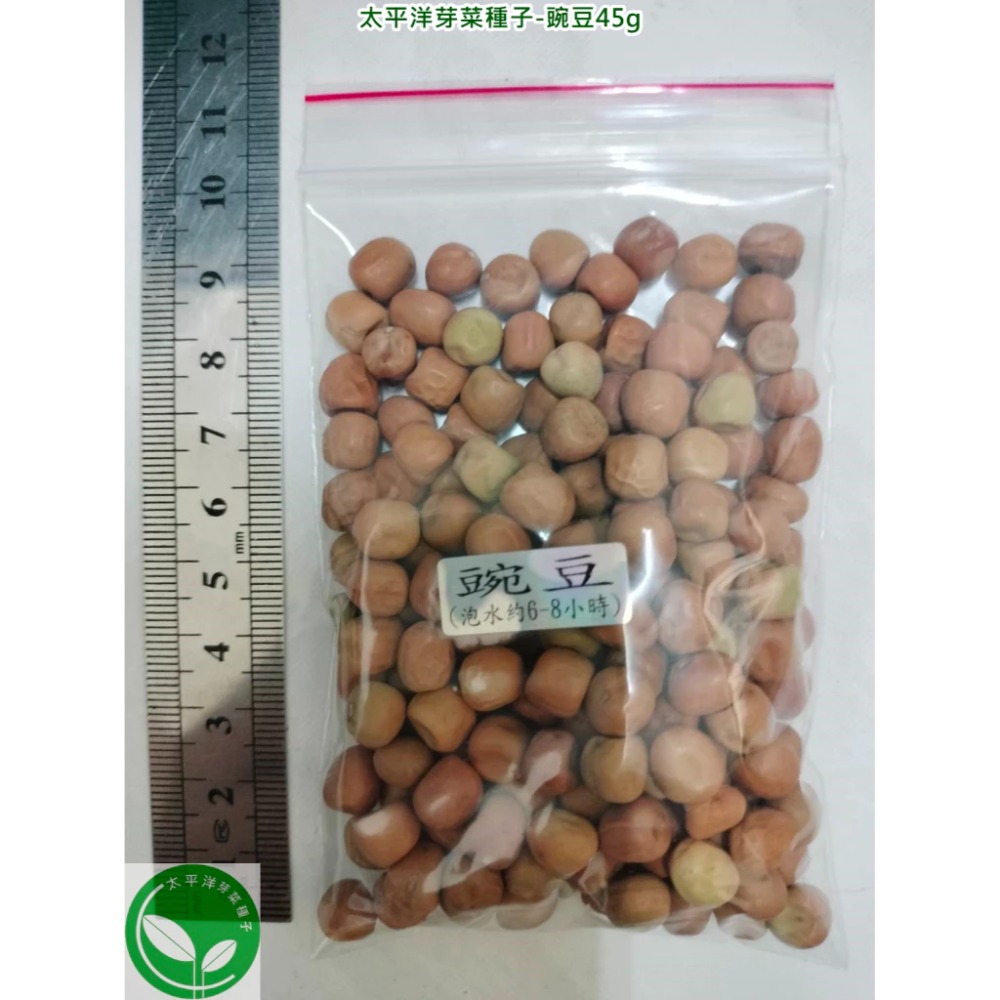 豌豆種子/荷蘭豆-澳洲-可水耕/土耕/煮食－85%以上高發芽率-芽菜種子/生菜種子/芽苗菜種子/土耕種子-規格圖7