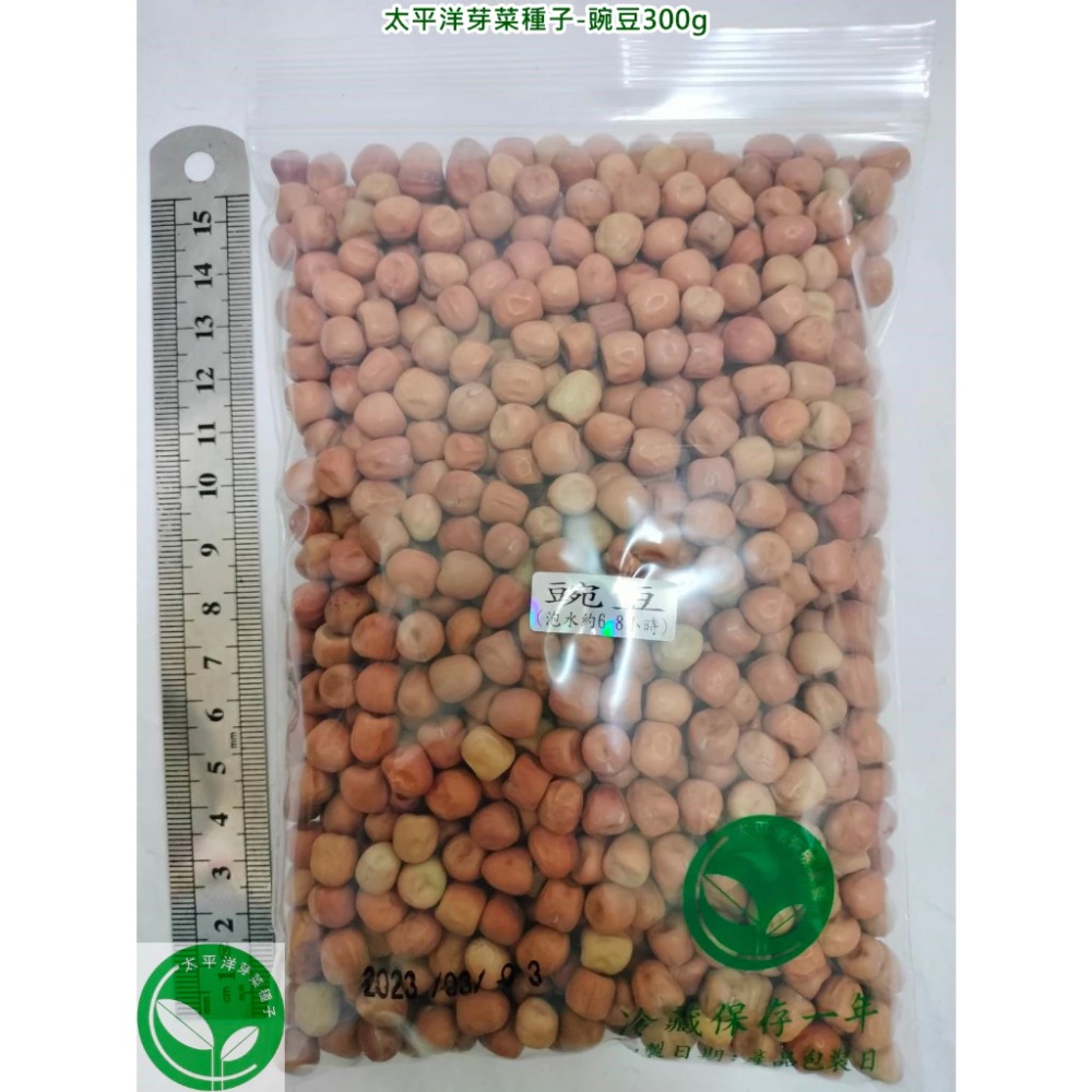 豌豆種子/荷蘭豆-澳洲-可水耕/土耕/煮食－85%以上高發芽率-芽菜種子/生菜種子/芽苗菜種子/土耕種子-規格圖7