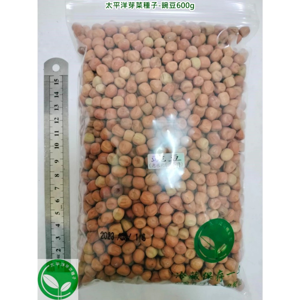豌豆種子/荷蘭豆-澳洲-可水耕/土耕/煮食－85%以上高發芽率-芽菜種子/生菜種子/芽苗菜種子/土耕種子-規格圖7