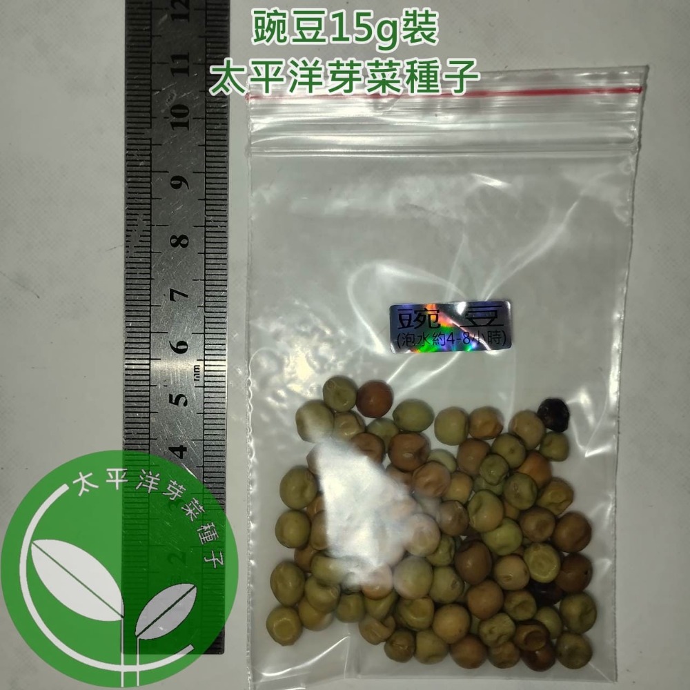 豌豆種子/荷蘭豆-澳洲-可水耕/土耕/煮食－85%以上高發芽率-芽菜種子/生菜種子/芽苗菜種子/土耕種子-規格圖7