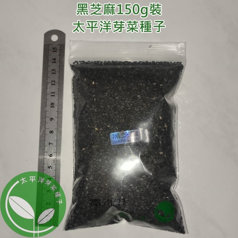 黑芝麻種子-波利維亞進口-可水耕/土耕/煮食－85%以上高發芽率-芽菜種子/芽苗菜種子/土耕種子-規格圖5