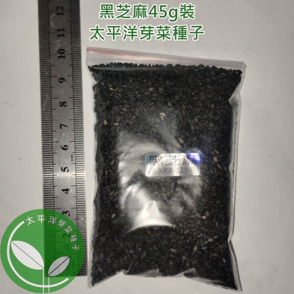 黑芝麻種子-波利維亞進口-可水耕/土耕/煮食－85%以上高發芽率-芽菜種子/芽苗菜種子/土耕種子-規格圖5