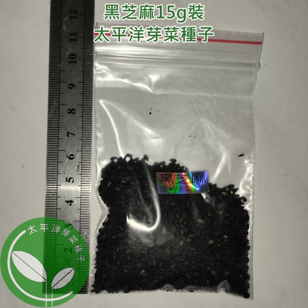 黑芝麻種子-波利維亞進口-可水耕/土耕/煮食－85%以上高發芽率-芽菜種子/芽苗菜種子/土耕種子-規格圖5
