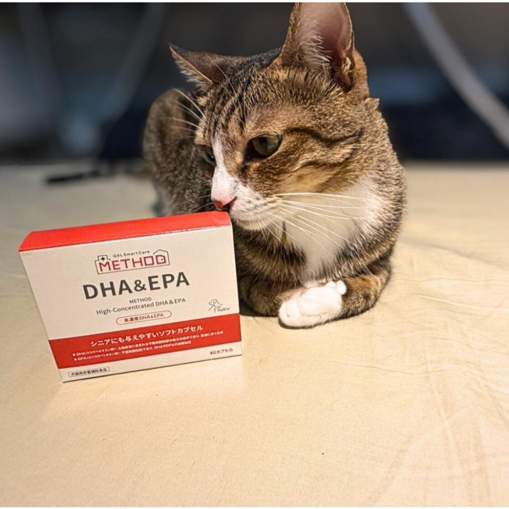 【現貨日本專科】QIX 高濃度 DHA&EPA 魚油｜心血管保健 熟齡認知照護｜最新效期 2027/09(40粒)-細節圖2