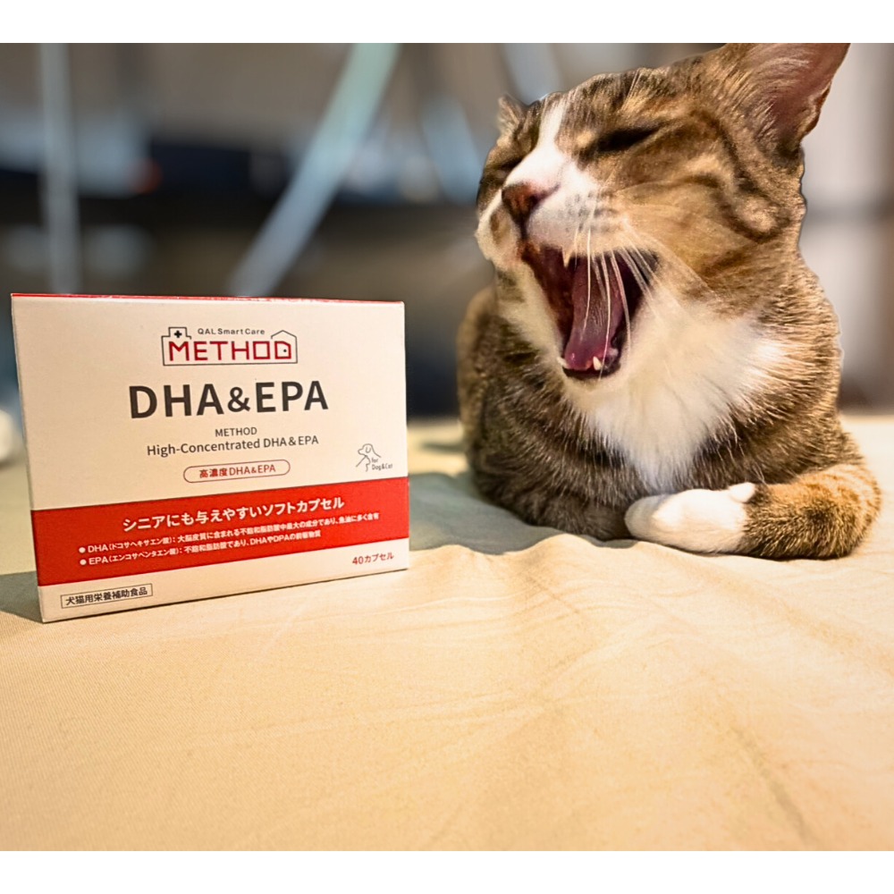 【現貨日本專科】QIX 高濃度 DHA&EPA 魚油｜心血管保健 熟齡認知照護｜最新效期 2027/09(40粒)-規格圖5