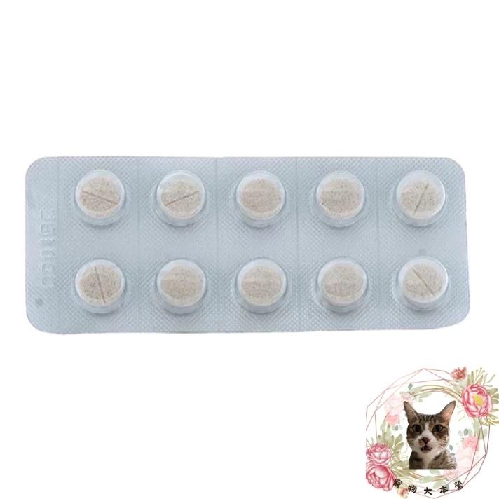 【現貨日本專科】Parasol 肌關大師 關節保健錠｜關鍵養護 寵物營養保健品｜最新效期2027.03(60錠)-細節圖3