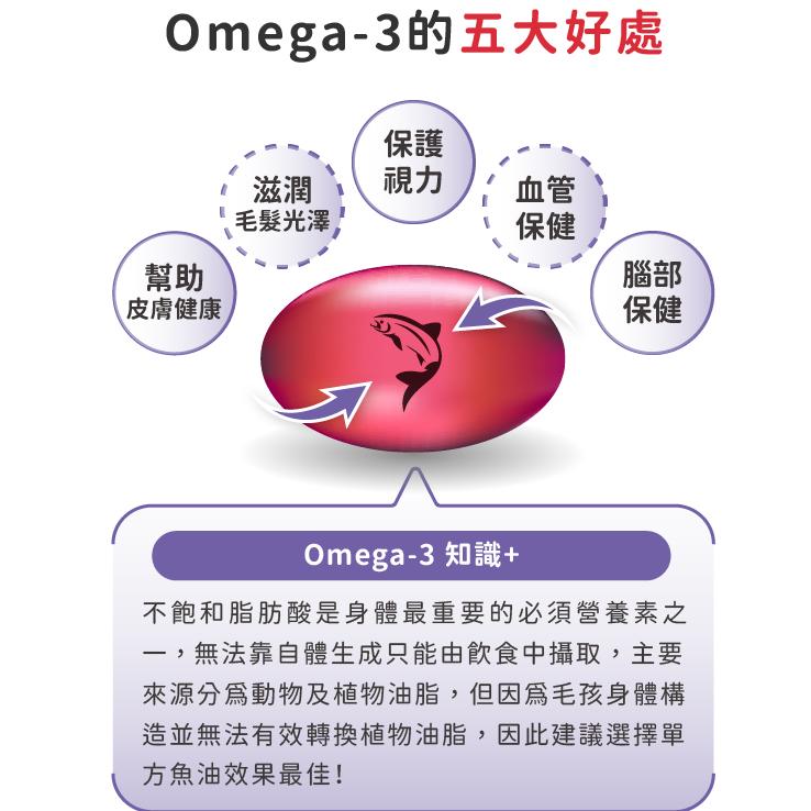 【現貨日本專科】日本 PE Omega Master3 魚油｜高濃度DHA 爆毛養膚｜最新效期2027/07 (60粒)-細節圖4