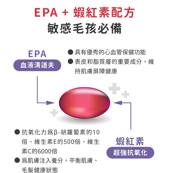 【現貨日本專科】日本 PE Omega Master3 魚油｜高濃度DHA 爆毛養膚｜最新效期2027/07 (60粒)-細節圖5