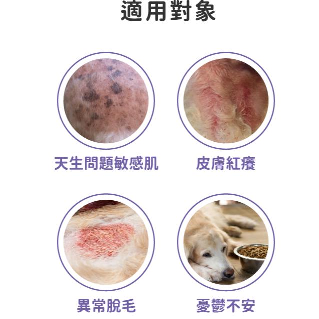 【現貨日本專科】日本 PE Omega Master3 魚油｜高濃度DHA 爆毛養膚｜最新效期2027/07 (60粒)-細節圖6