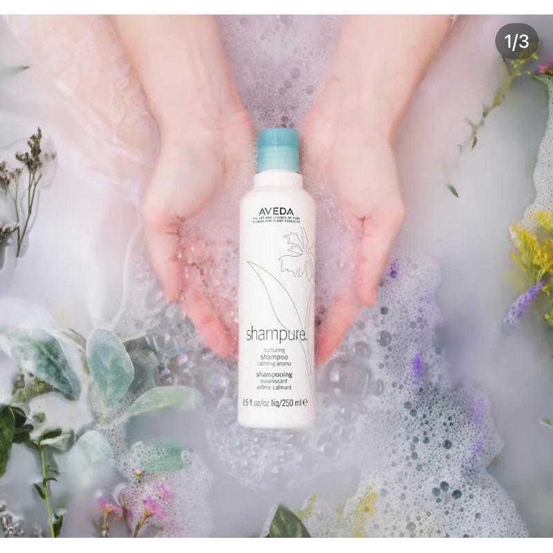 現貨🔥AVEDA肯夢迷迭薄荷 洗髮精正裝純香洗髮乳洗髮菁潤髮乳護髮素-細節圖2