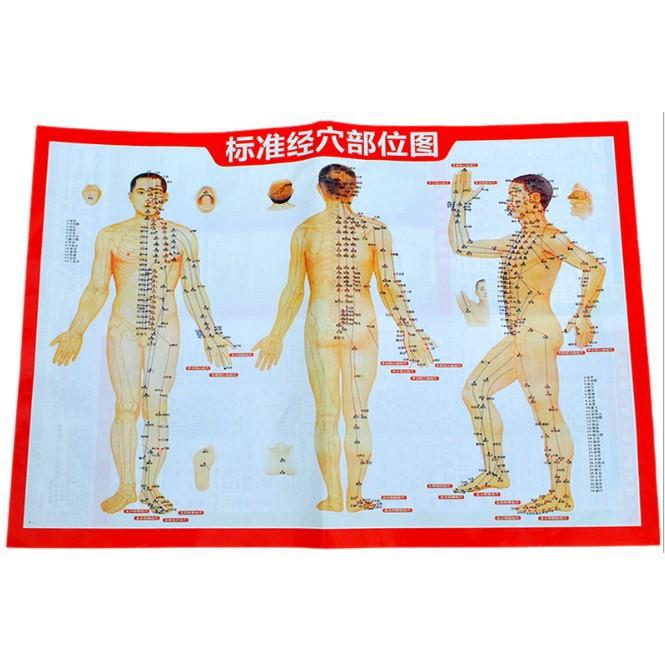 砭石貼 買10送2 買20送4加送穴位圖-細節圖5