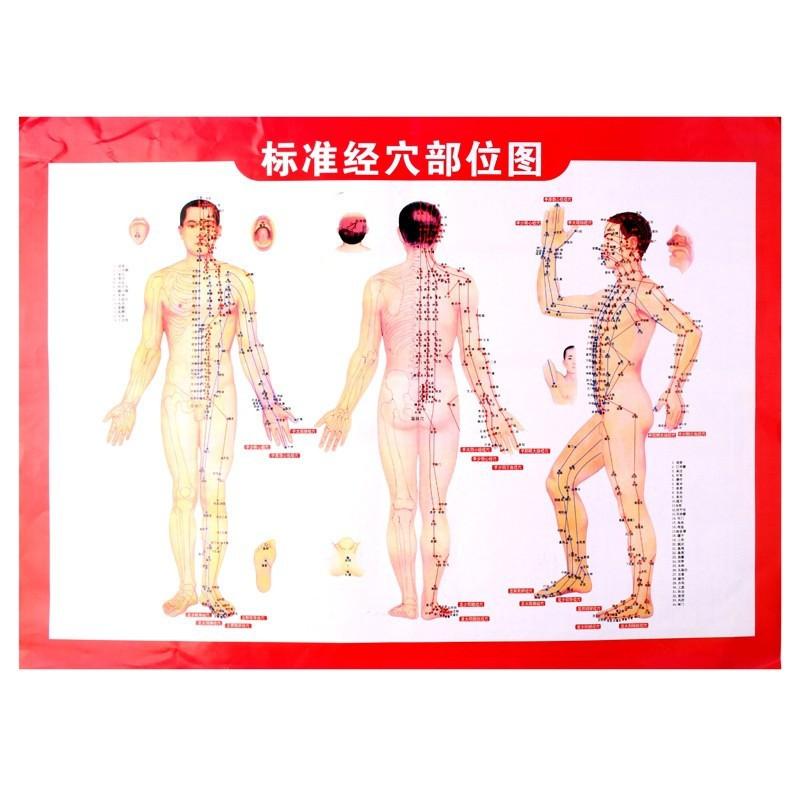 可旋轉凸點按摩玉石溫灸棒(送艾柱一盒)(送穴位圖一張)(送布套一個) 艾灸棒 艾灸盒-細節圖8