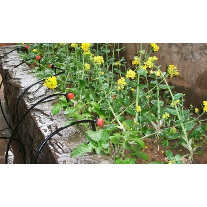 防水全自動澆水器灑水器 12米25米滴灌套裝 灌溉器 定時澆水器灌溉設備 不怕風吹日曬雨淋 滴灌-細節圖6