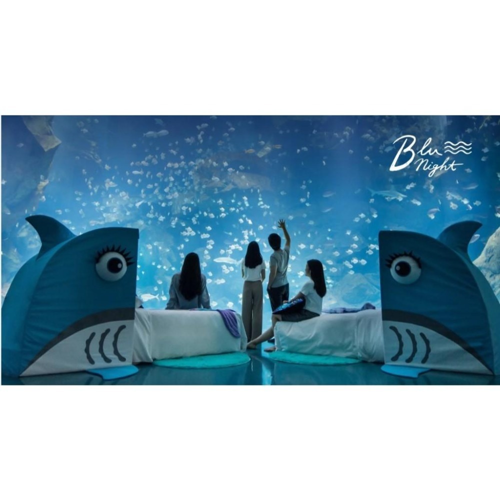 【島嶼夢遊逾期券】桃園 COZZI BLU和逸飯店 島嶼夢遊各方案 當現金抵用-細節圖3