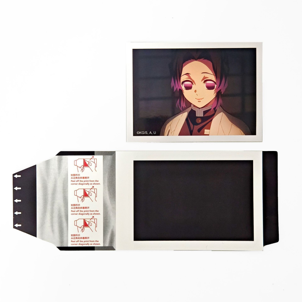 《周邊》陸版官方 正版授權 鬼滅之刃 全集中展 撕拉拍立得 立志篇 炭治郎 禰豆子 我妻善逸 煉獄杏壽郎 胡蝶忍-細節圖7