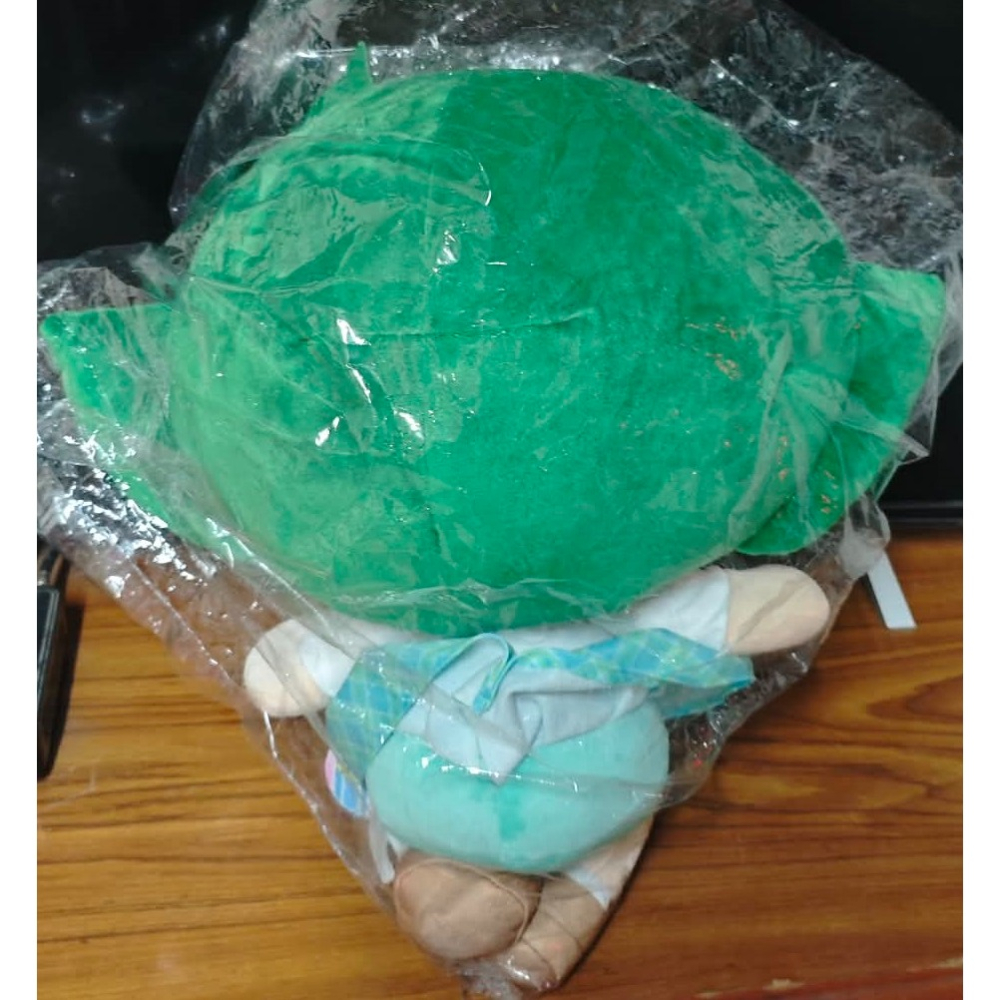 《周邊》【現貨】特賣 台灣 代理版 CN卡通 Cartoon Network 飛天小女警 學院系列 娃娃 16吋 毛毛-細節圖2