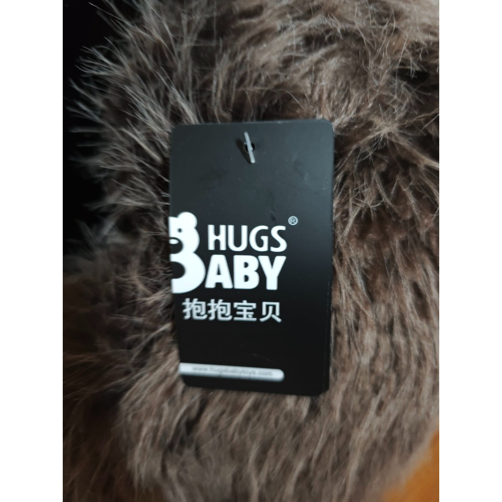 小棕熊 大狗熊 棕熊 大熊 熊熊 熊 坐姿 娃娃 抱抱寶貝 25~30公分-細節圖3