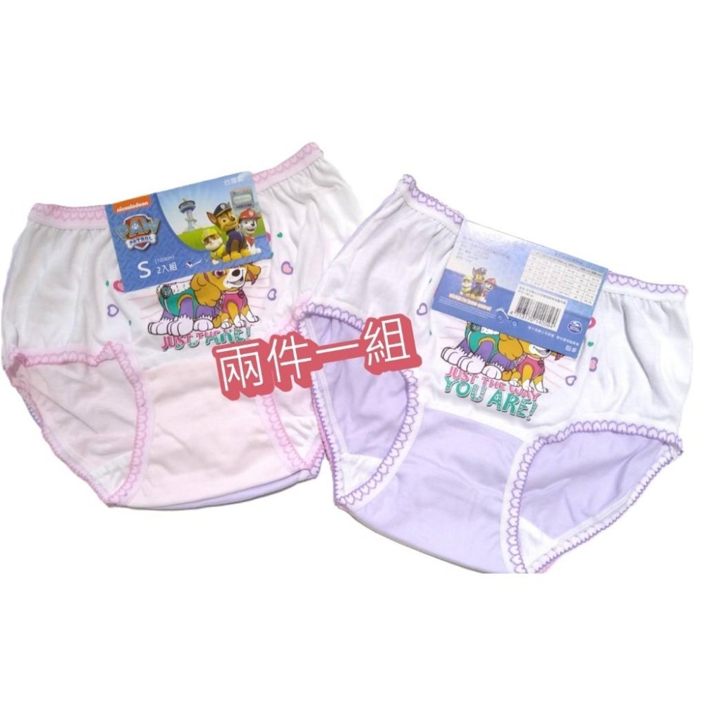 汪汪隊 女童三角褲 兒童內褲 純棉內褲 純棉三角褲 7279-細節圖2