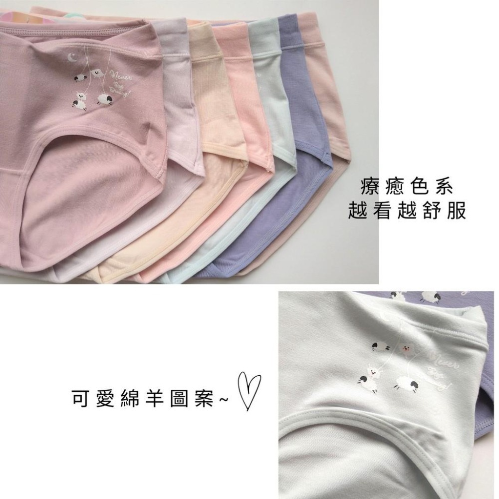 941【吉妮儂來】天然有機棉少女內褲-睡眠綿羊-細節圖2