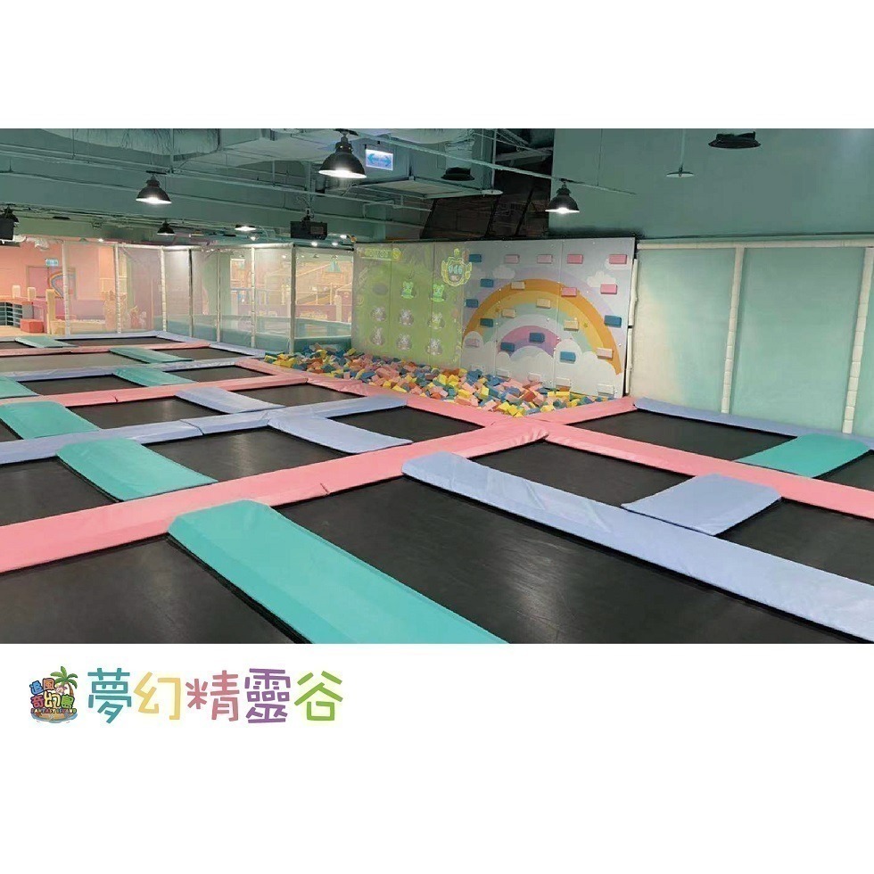 【六號門 】追風奇幻島 重力反叛 林口那隻狗派對 花語森林 叢林歷險記 動物農場 大立獨角獸王國 桃堡樂園 怪獸發電廠-細節圖6