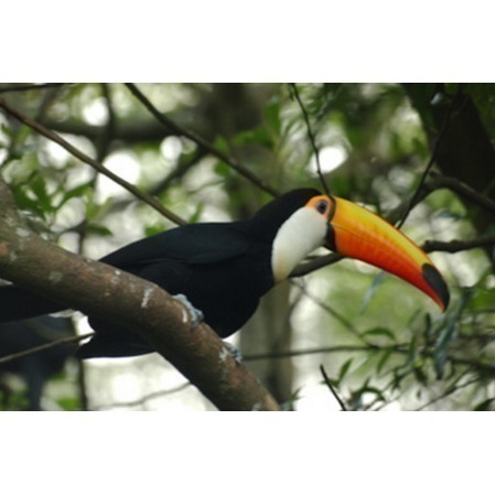 【六號門 可刷卡】綠世界生態農場 綠世界門票-細節圖2