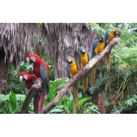 【六號門 】綠世界生態農場 綠世界門票-細節圖3