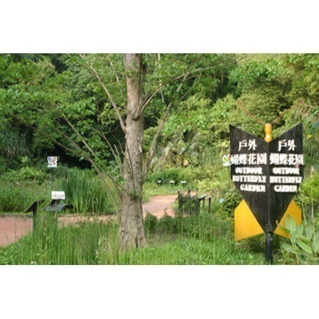 【六號門 】綠世界生態農場 綠世界門票-細節圖4