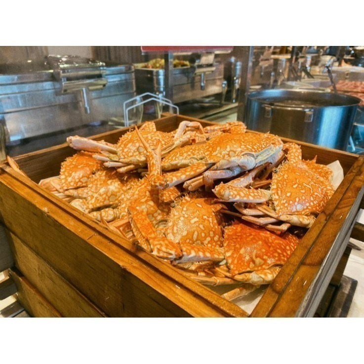 【六號門 電子票】台中│日光溫泉會館花見西餐廳平日午餐 已含10%服務費用 【可刷卡】-細節圖2