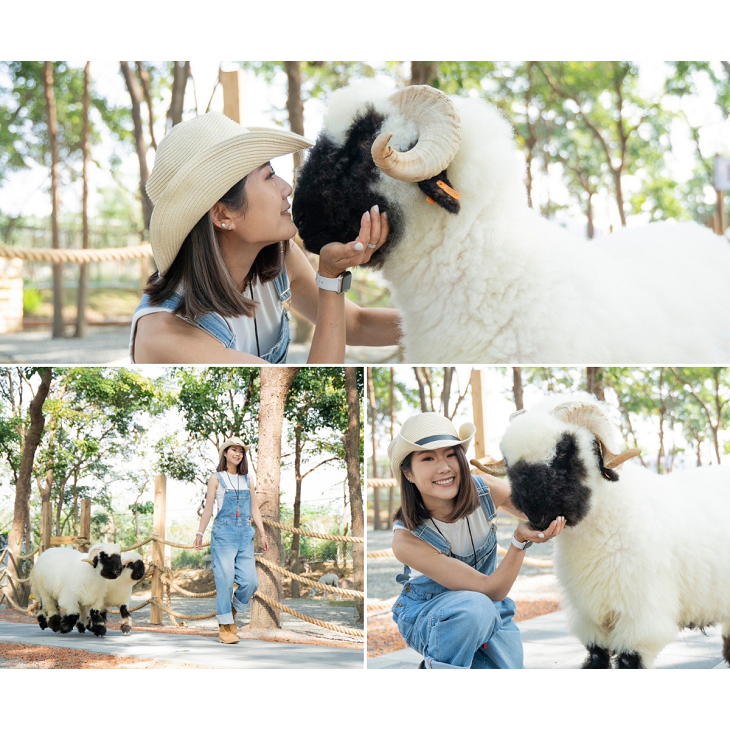 【六號門電子票】咩咩上樹萌寵樂園 萌寵動物樂園【可刷卡】-細節圖2