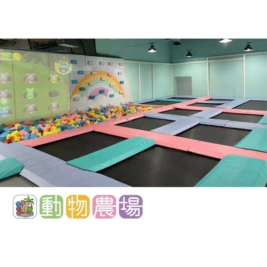 【六號門 】奇幻島 台中廣三SOGO 動物農場  追風奇幻島 票券 開幕優惠價元1大1小使用-細節圖6