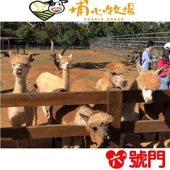 【7-ELEVEN門市團購】埔心牧場 牧場門票 味全埔心牧場 含入場門票+DIY（60元系列）+乳牛環場列車券-細節圖2