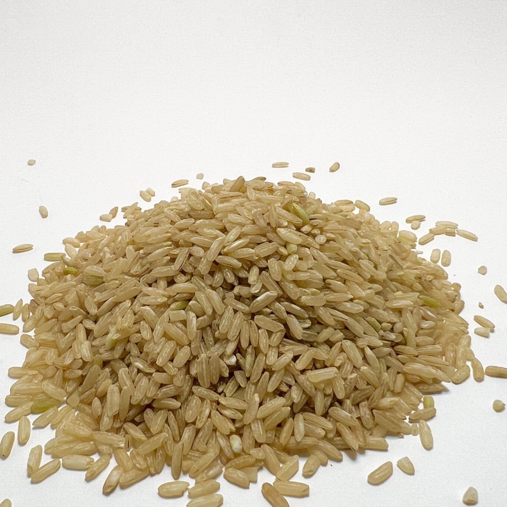 糙米 長糙米 長秈糙米 夾鏈袋包裝 600g【誠貓雜糧】-細節圖3