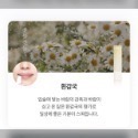 韓國 Hanyul 韓律 草本漸層潤唇膏 草本護唇膏 潤色護唇膏-規格圖1
