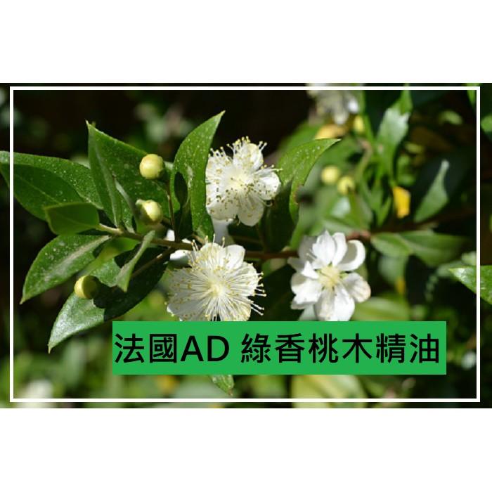 【露西皂材】法國AD綠⾹桃⽊精油 (桃⾦孃) MYRTLEGREEN 綠⾹桃⽊-細節圖3