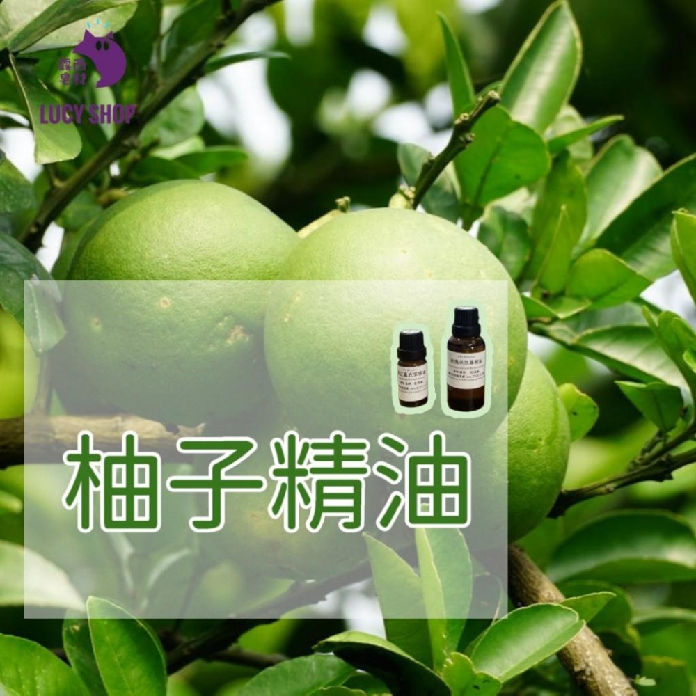 【露西皂材】柚子精油 (pomelo essential oil)  清新柚子香-細節圖5