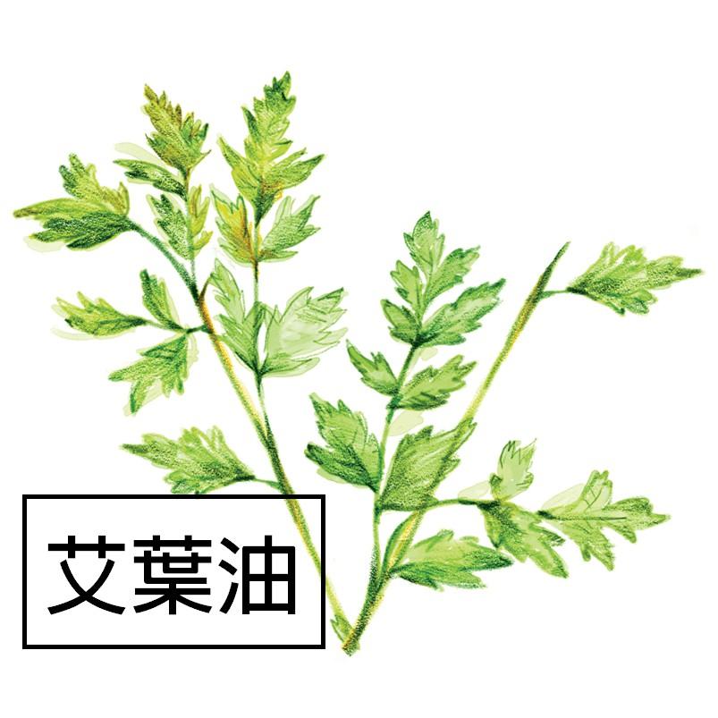 【露西皂材】艾葉油 (艾草油) mugwort leaf oil-細節圖2
