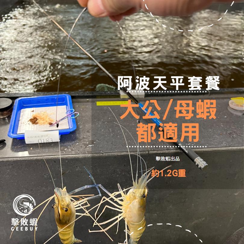 釣蝦天平組 天平釣組 阿波釣組 釣蝦阿波天平組 釣蝦阿波線組 釣蝦線組 釣蝦線組已配重-細節圖5