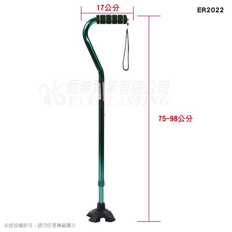❰免運❱ 恆伸 ER2022 鋁合金站立式時尚拐杖 泡棉握柄 單支拐杖 拐杖 柺杖 鋁合金柺杖 輕量化拐杖 手杖 銀髮-細節圖5