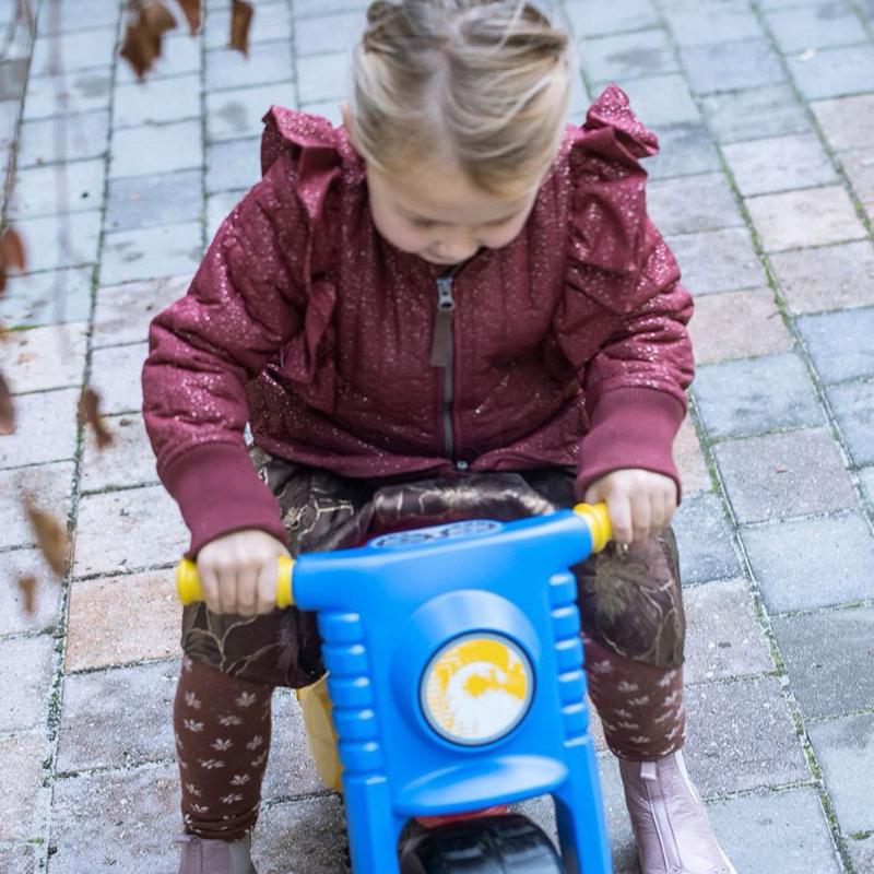 ❰免運❱ dantoy 重機賽車 視覺追視 認知學習 益智玩具 兒童學習玩具 邏輯推理 室內玩具 觸覺舒緩-細節圖5