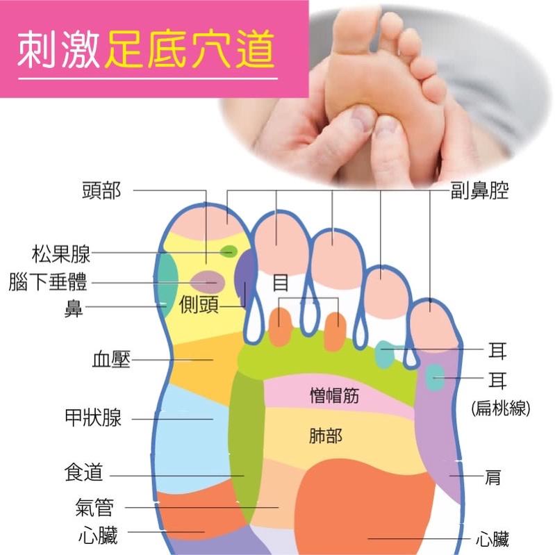 ❰免運❱ muva 小紅帽舒筋花生球  SA8ER03 按摩 舒壓 顆粒 高硬度 刺激穴道 筋肉放鬆 花生球 刺蝟球-細節圖9