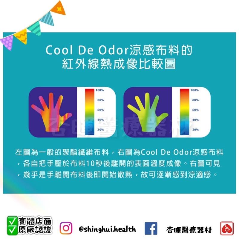 ❰免運❱ 日本 🇯🇵 FranceBed 涼感抱枕 北極熊 企鵝 療癒 家庭 抱枕 玩具 安全感抱枕 居家生活 老人小孩-細節圖6