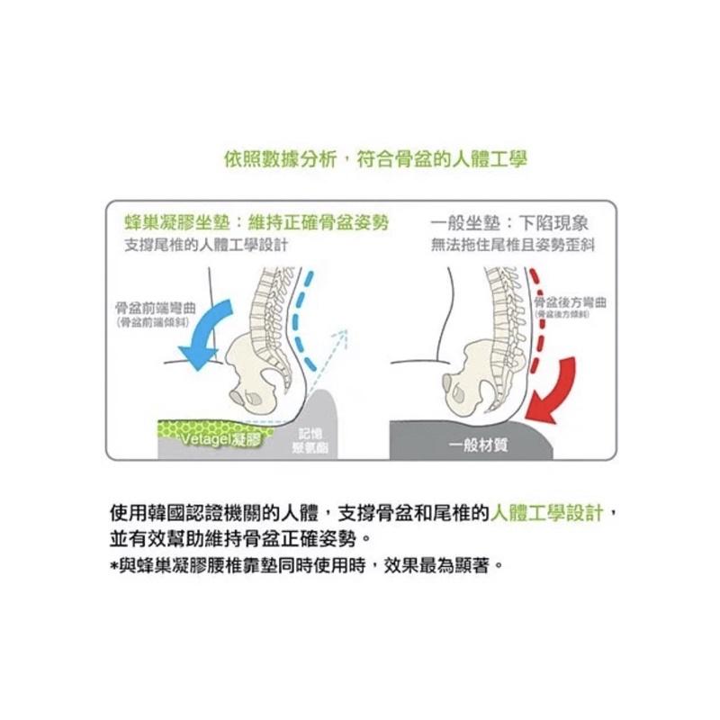 ❰免運❱ 倍力舒 balance蜂巢凝膠護臀矯正型坐墊 凝膠坐墊 椅墊 坐墊 矯正 抗菌透氣 通用款 輕量化-細節圖4