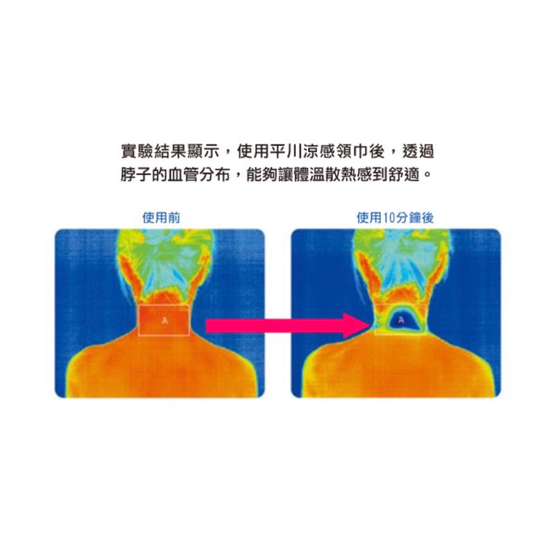 ❰現貨免運❱ COMESAN 康森 日本平川超激冰涼感網毛巾 涼感毛巾 高機能 快乾 抗菌防蟎 透氣舒適-細節圖4