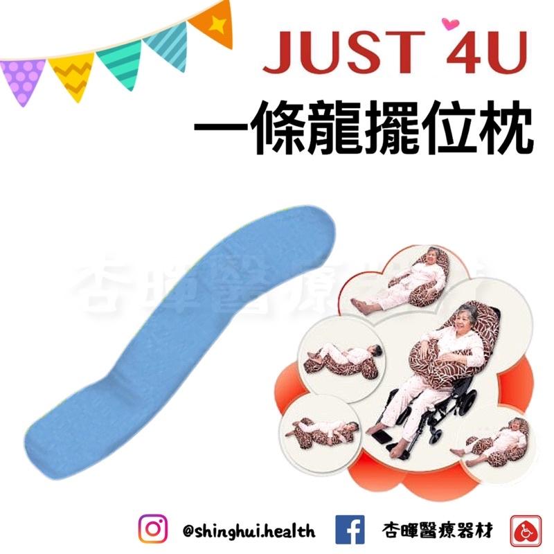 ❰免運❱ 強生 一條龍擺位枕 大龍 小龍 TV-301 TV-302 擺位枕 抱枕 枕頭 翻身枕 輔具 移位 頭枕 長型-細節圖4