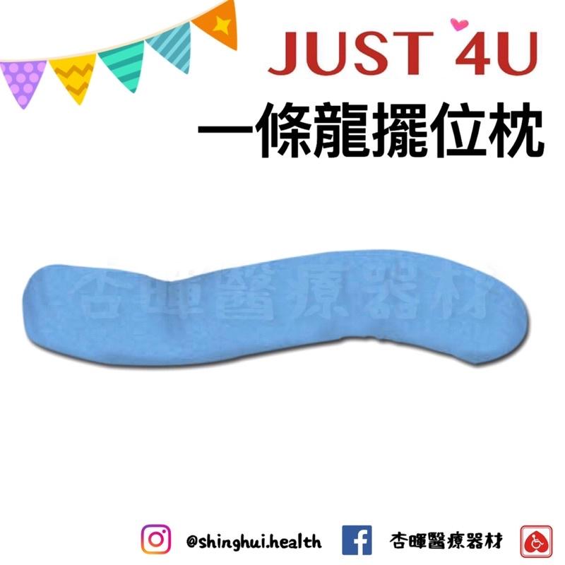 ❰免運❱ 強生 一條龍擺位枕 大龍 小龍 TV-301 TV-302 擺位枕 抱枕 枕頭 翻身枕 輔具 移位 頭枕 長型-細節圖5